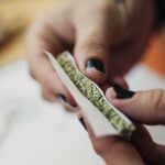 Person handrolling a healthy joint. - Best ways to get a healthier joint blog hero image