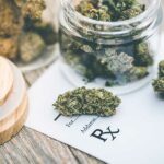 Medical Marijuana on Table - Filter420